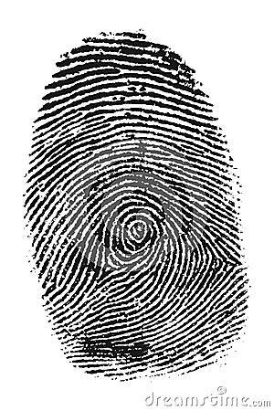 Fingerprint Vector Illustration