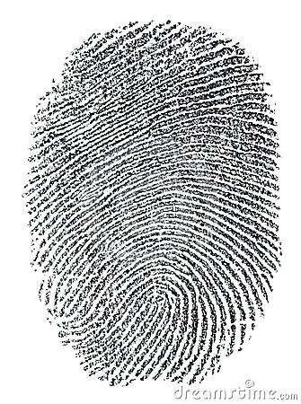 Fingerprint Stock Photo