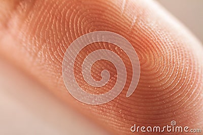 Fingerprint Stock Photo