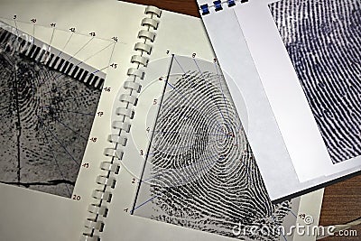 Fingerprints Stock Photo