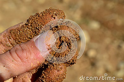 Fingers feeling brown soil Stock Photo