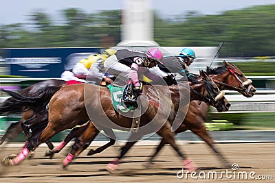 Finish Line at Belmont Editorial Stock Photo