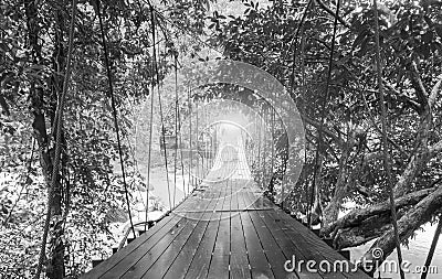 Finishes or Goals Line Concept. Lights at The End of Perspective Hanging Wooden Bridge with Various Type of Fantasy Trees Stock Photo