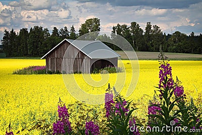 Finland: Bright colors of summer Stock Photo