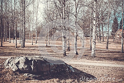 Finland. Vintage spring landscape with birch and stone. Stock Photo
