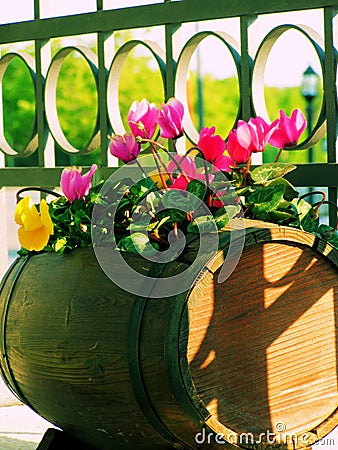 Fiori del balcone foto stock – 2,975 fiori del balcone immagini ... Coloniales disegno Balcone