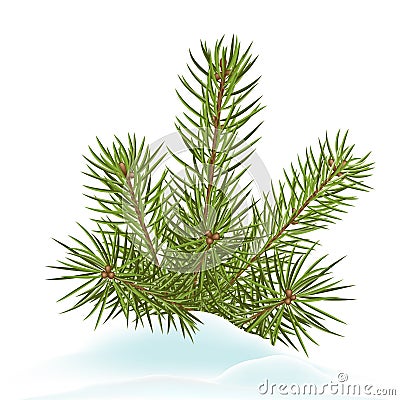 Fir Branch Decoration Stuck in Snow - Cold Wintertime Stock Photo