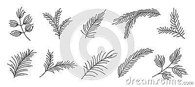 Fir branch variety shape evergreen plant line set Vector Illustration
