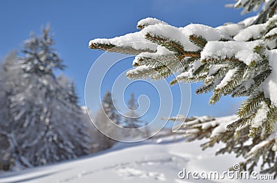 Winter postcard Stock Photo