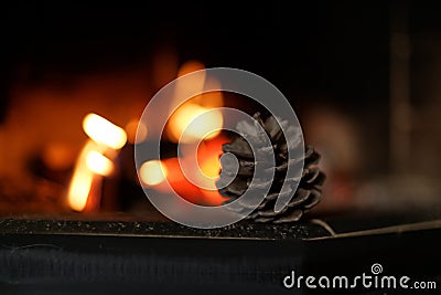 Fir cone near the fire place Stock Photo