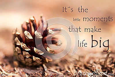 Fir Cone with Saying Its the little Moments that make Life Big Stock Photo