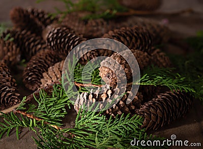 Fir cones background Stock Photo