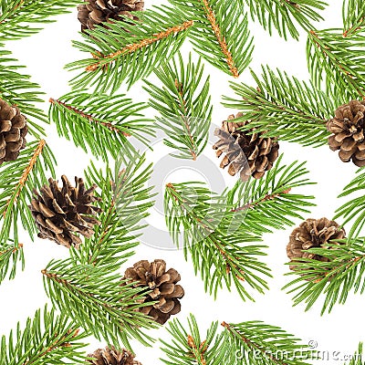 Fir tree branches seamless pattern, pine branch, Christmas conifer isolated on white background Stock Photo