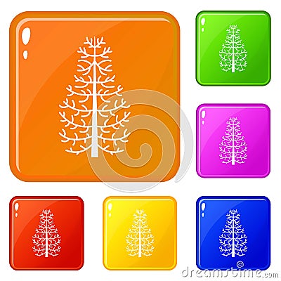 Fir tree icons set vector color Vector Illustration