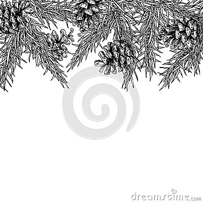 Fir tree and pine cone hand drawn vector square frame for winter Vector Illustration
