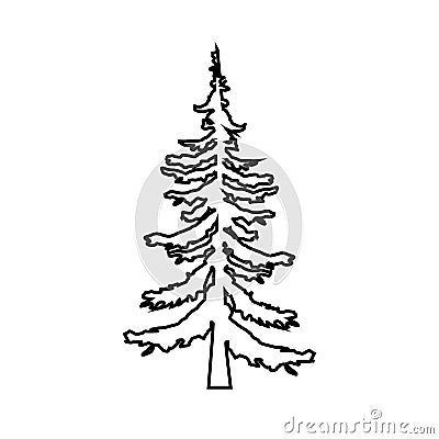 Fir-tree . pine tree line icon, outline vector sign, linear style pictogram isolated on white. Symbol, logo illustration Vector Illustration