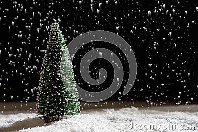 fir tree in snowing night Stock Photo