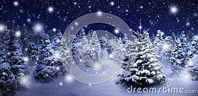 Fir tree in snowy night Stock Photo