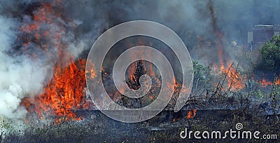 Fire Stock Photo