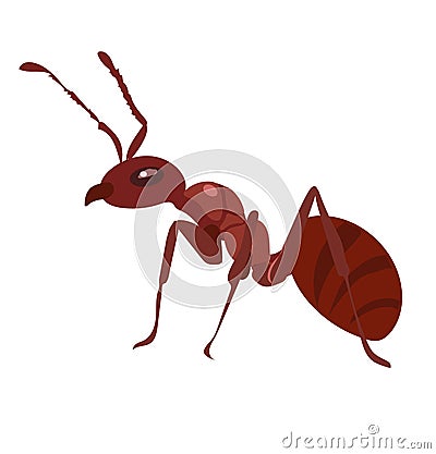 Fire Ant Stock Photo