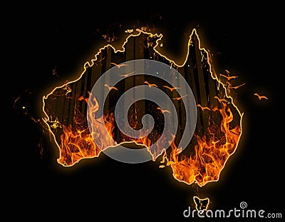 Fire in Australia. Animals and forest killed in Fiers. Catastrophe and apocalypse. Pray for Australia Stock Photo