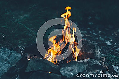Open fire, flames, burning of firewood, coals for shish kebab, f Stock Photo