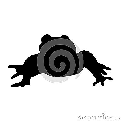 Fire Bellied Toad Bombina Silhouette Found In Central Asia Vector Illustration
