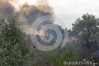 A fire brigade on a fire engine extinguishes a forest fire. Inscriptions on the car in Russian - fire truck and Odessa. 2019. 06. Editorial Stock Photo