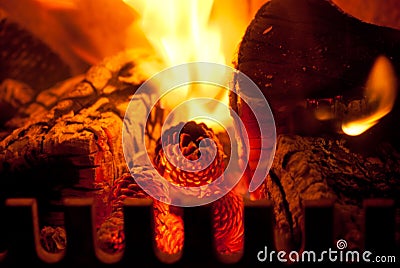 Fire burning wood and cones in a log burner Stock Photo