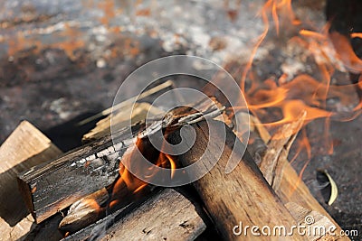 Fire campfire wood fire embers Stock Photo