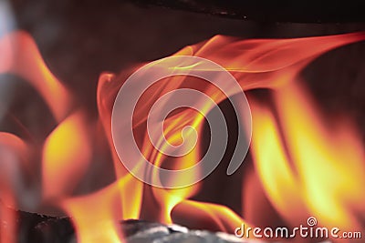 Fire in Fireplace Closeup. Burning Wood Logs and Spruce Branches Stock Photo