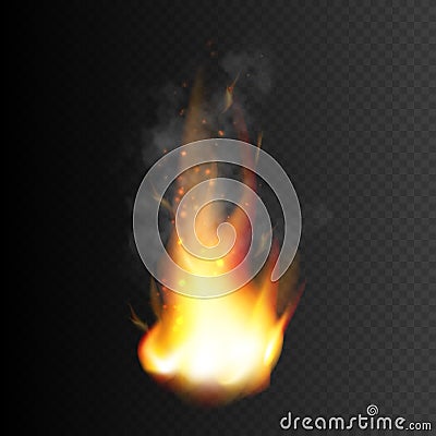 Fire flame icon. Vector illustration of burning fire Vector Illustration