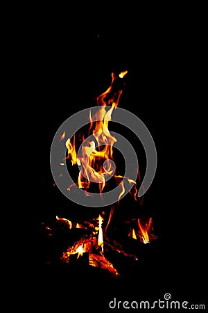 Fire flames on black background. Burning wood at night, Campfire. Stock Photo