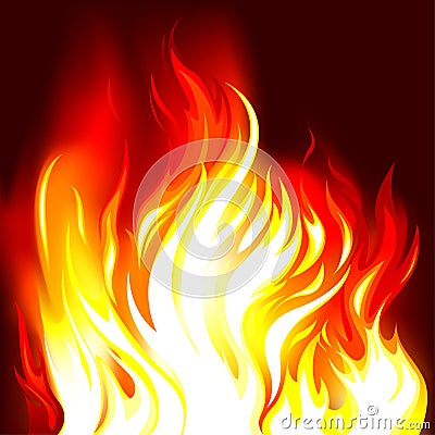 Fire Flames In The Dark Vector Illustration