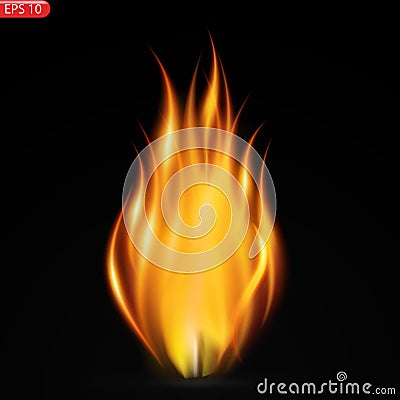 Fire flames isolated on transparent background. Vector Illustration