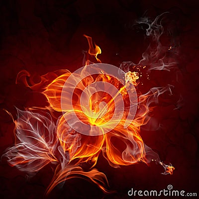 Fire flower Stock Photo