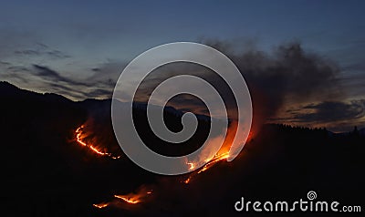 Fire in the forest, night scene Stock Photo