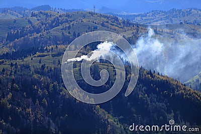 Fire in forested countryside Stock Photo