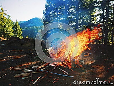 Fire Stock Photo