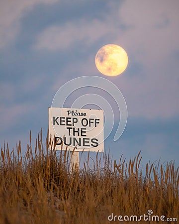 Please keep off the dunes sign in beach grass, as a full moon rises in the background. Fire Island, New York. Stock Photo