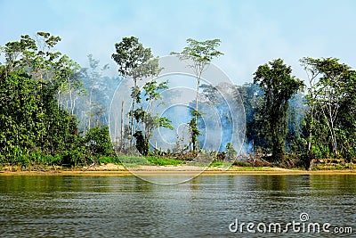 Fire in a Jungle Stock Photo