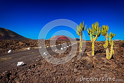 Fire Mountains Lanzarote Stock Photo