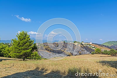 Fire in North-east Attica, Greece Editorial Stock Photo