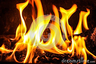 Fire Stock Photo