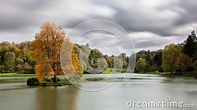 Fire orange tree stands alone on an island in a lake. Stock Photo