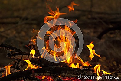 Fire outdoor 1 Stock Photo