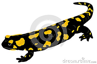 Fire Salamander Cartoon Illustration