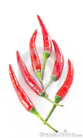 Fire shape chillis Stock Photo