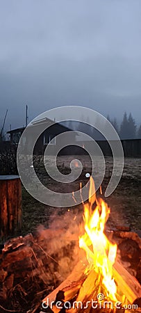 Fire on a foggy day at countryside. Stock Photo