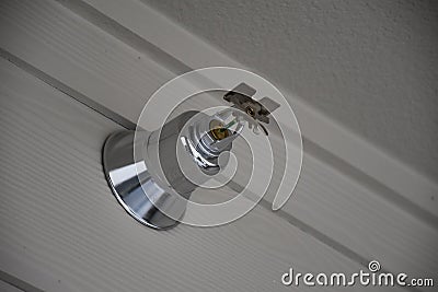 Fire sprinkler placed on wall closeup.Fire fighting equipment, sprinkler on grey wall background.Automatic head fire sprinkler Stock Photo
